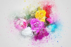 Colorful Roses